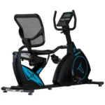 RECUMBENT PARMA - D - Imagen 3