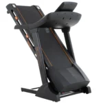 TROTADORA REIMS - Imagen 2