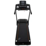 TROTADORA REIMS - Imagen 4